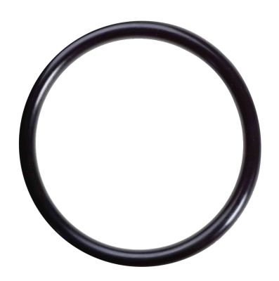 Уплотнительное кольцо (сальник) для американки Bonomi o-ring