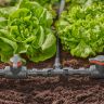 Соединитель Т-образный Gardena Micro-Drip-System Quick & Easy для шлангов 13 мм, 2 шт (13201-20)