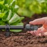 Заглушка Gardena Micro-Drip System Quick & Easy для шлангів 13 мм, 5 шт (13205-20)