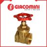 Задвижка GIACOMINI (R55Y003)