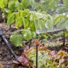 Мікронасадка Gardena Micro-Drip-System секторна 180 °, 5 шт (13321-20)