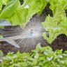 Мікронасадка Gardena Micro-Drip-System секторна 180 °, 5 шт (13321-20)