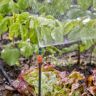 Мікронасадка Gardena Micro-Drip-System секторна 90 °, 5 шт (13320-20)